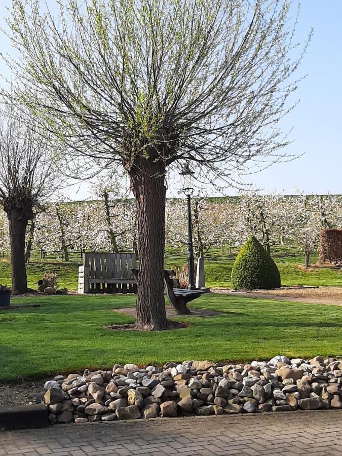 Vroeleneind Villa Noorbeek Bagian luar foto